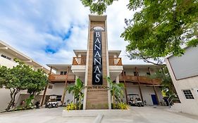 Bananas On The Beach